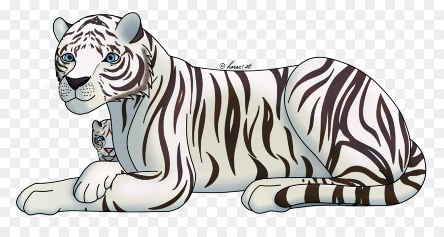 900x480 White Tiger Drawing Bengal Tiger Sketch - Zebra Head Sketch