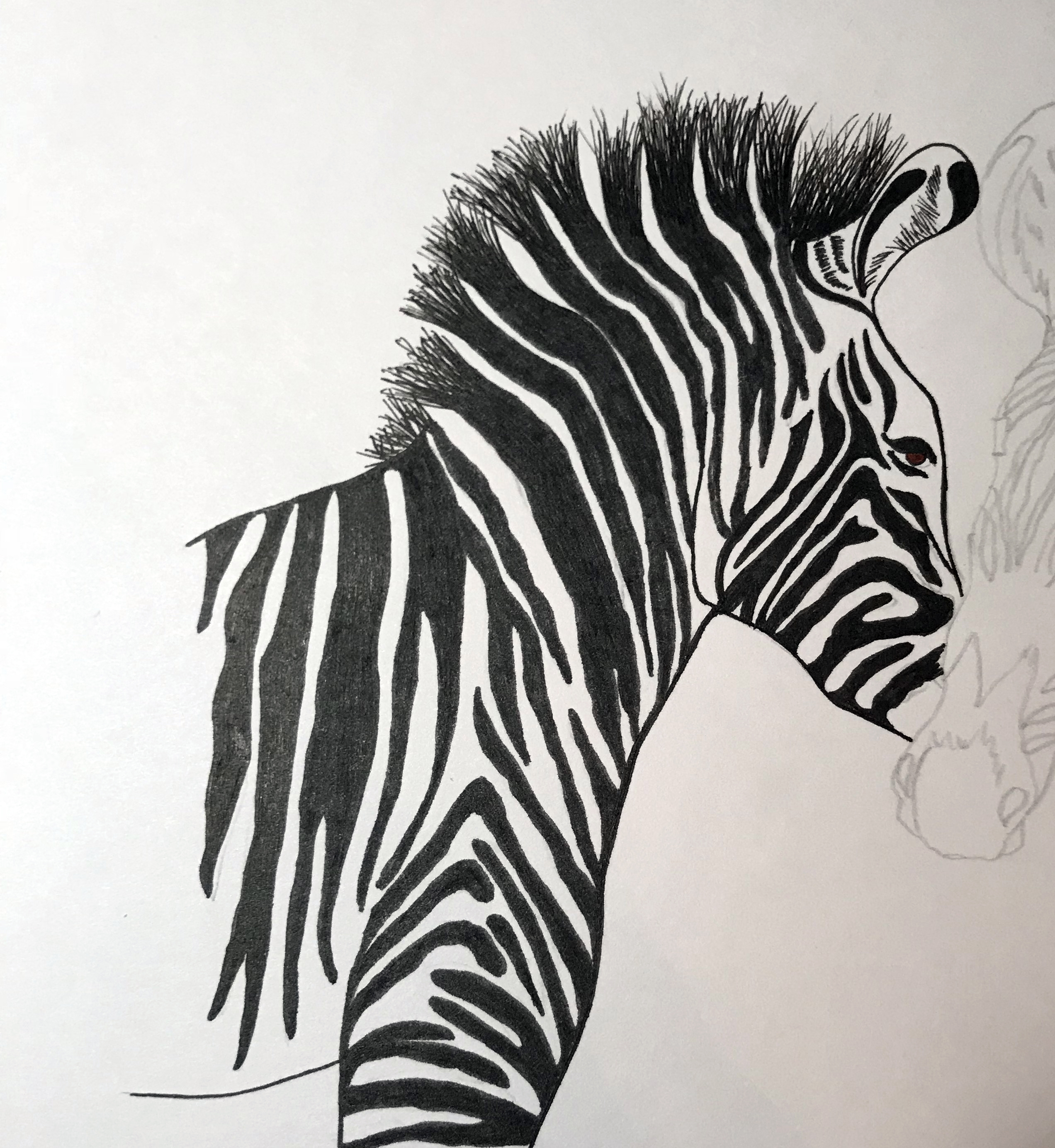 2544x2767 Drawing Tutorial Archives Zebra Pen - Zebra Head Sketch