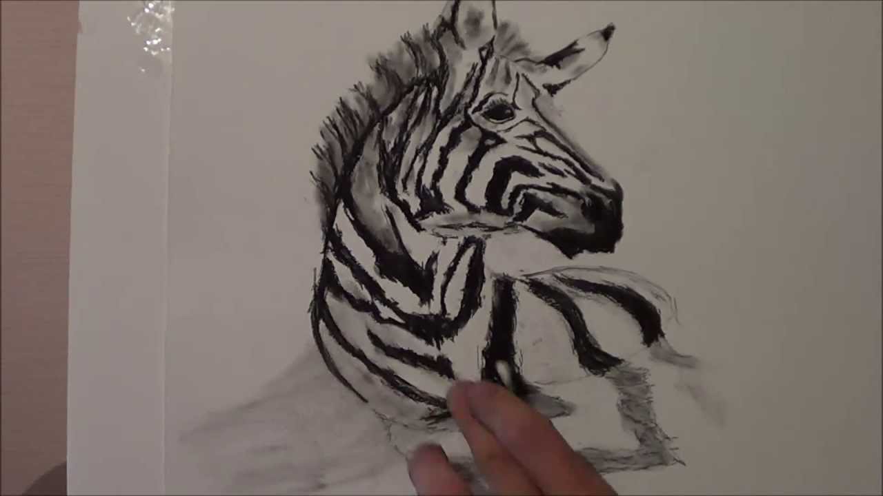 1280x720 Drawing A Zebra 3d - Zebra Head Sketch