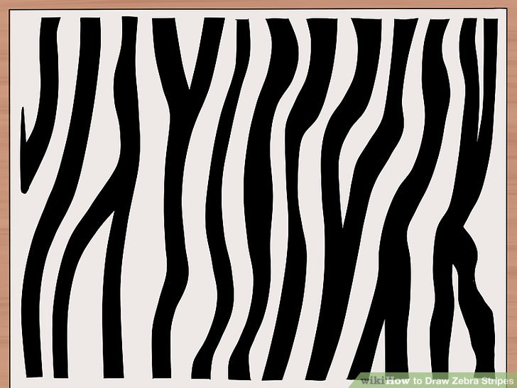 728x546 How To Draw Zebra Stripes 14 Steps (With Pictures) - Zebra Print Sketch