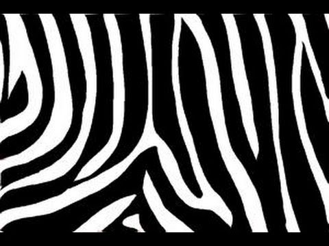 480x360 How To Draw Zebra Print - Zebra Print Sketch