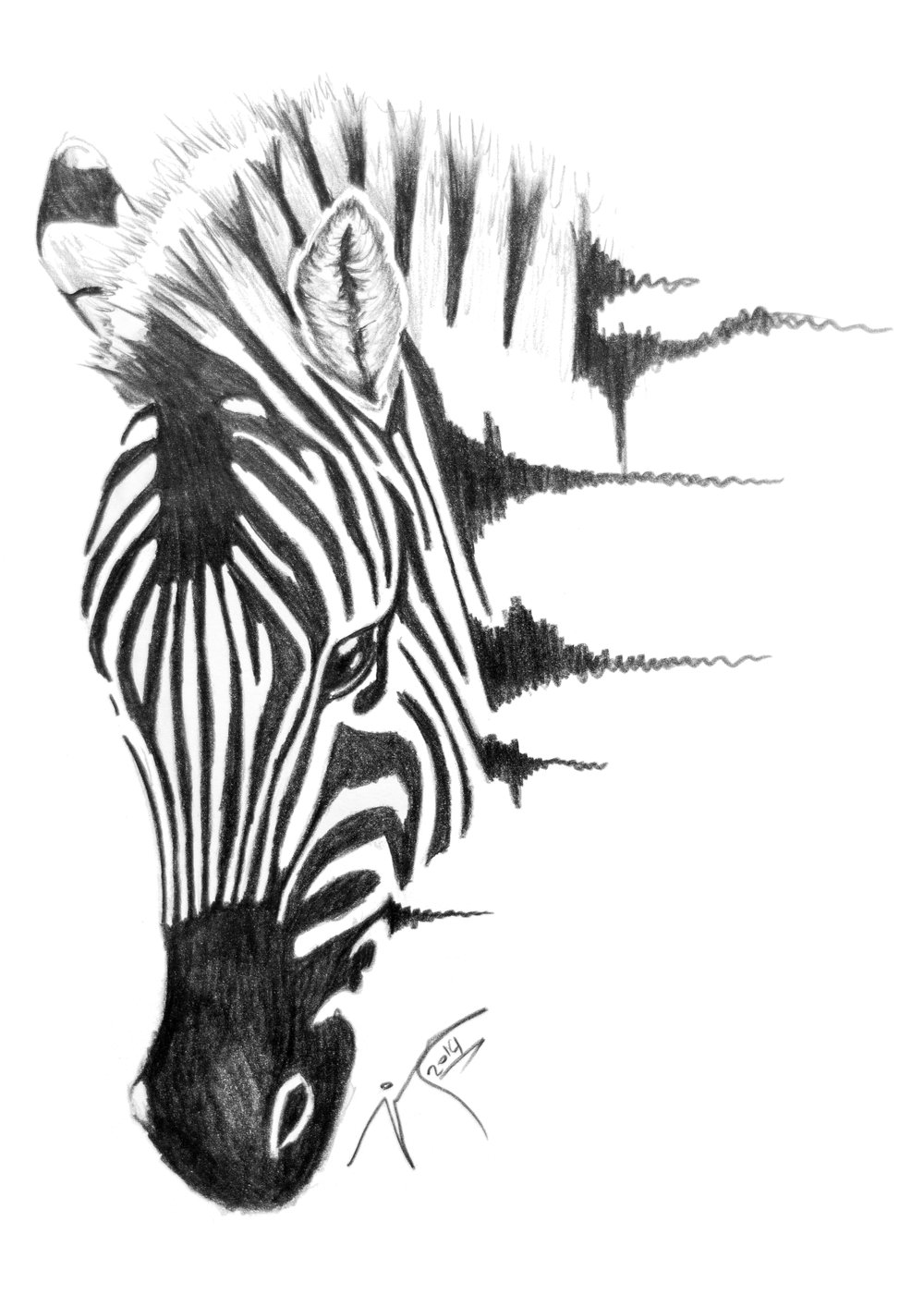 1000x1414 Jm Artwork - Zebra Print Sketch