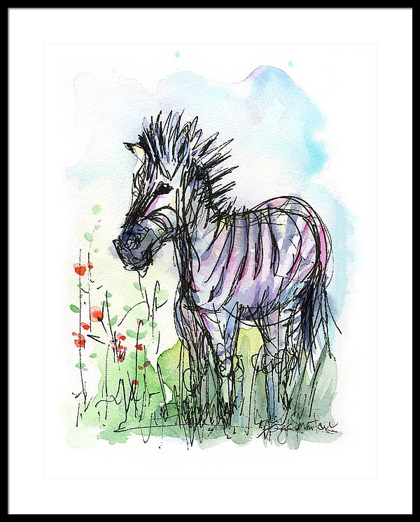 600x746 Zebra Painting Watercolor Sketch Framed Print By Olga Shvartsur - Zebra Print Sketch