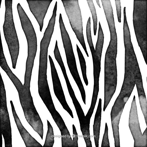 626x626 Zebra Animal Print Vector Free Download - Zebra Print Sketch