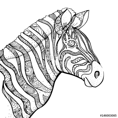 500x500 Hand Drawn Ink Doodle Zebra On White Background. Design For Adults - Zebra Print Sketch