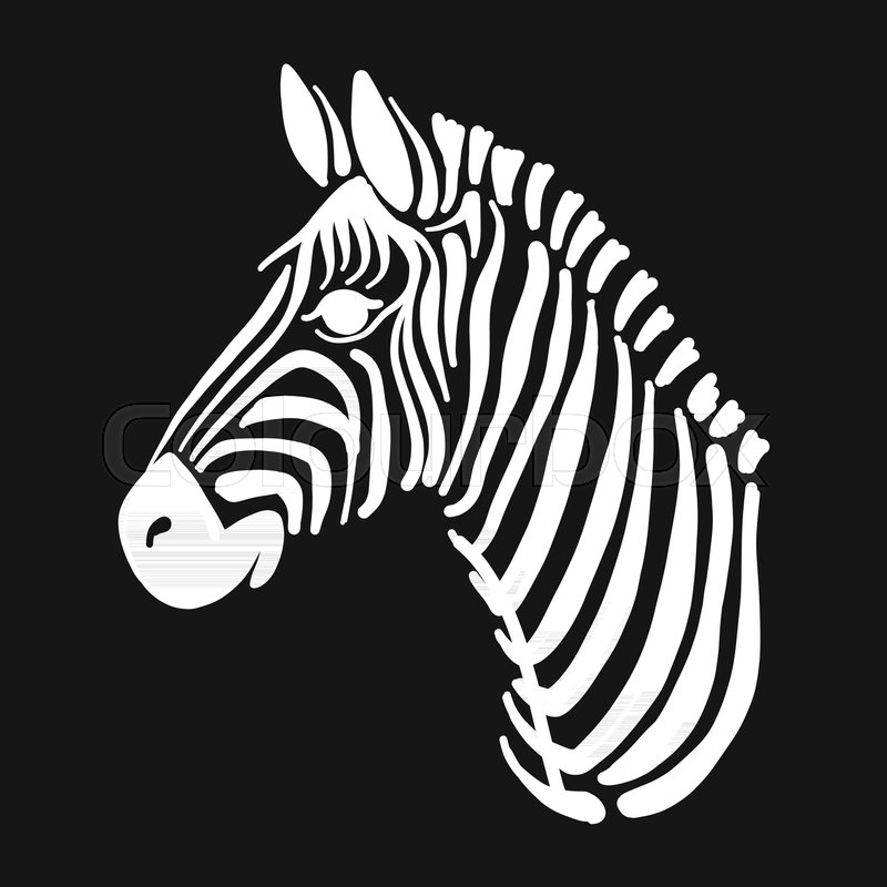 800x800 Zebra, Sketch For Your Design. Vector Illustration Stock Vector - Zebra Sketch