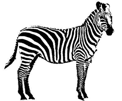 400x333 Zebra Animal Sketch - Zebra Sketch