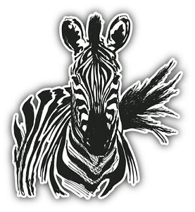 277x300 Zebra Sketch Animal Car Bumper Sticker Decal 5' X 5' Ebay - Zebra Sketch