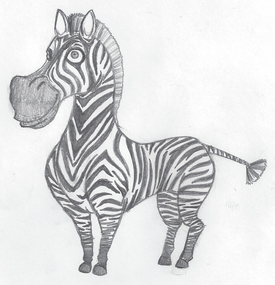 878x910 Zebra Sketch By Wlodarczykmaciej - Zebra Sketch