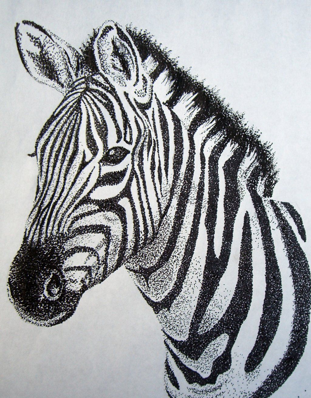 1024x1313 Zebra Sketch. Zebra In 2018 Stippling Art, Art And - Zebra Sketch