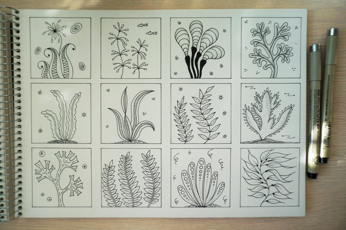 1200x797 Zentangle Coloring On Twitter Seaweed Sketches For My Next - Zentangle Sketches