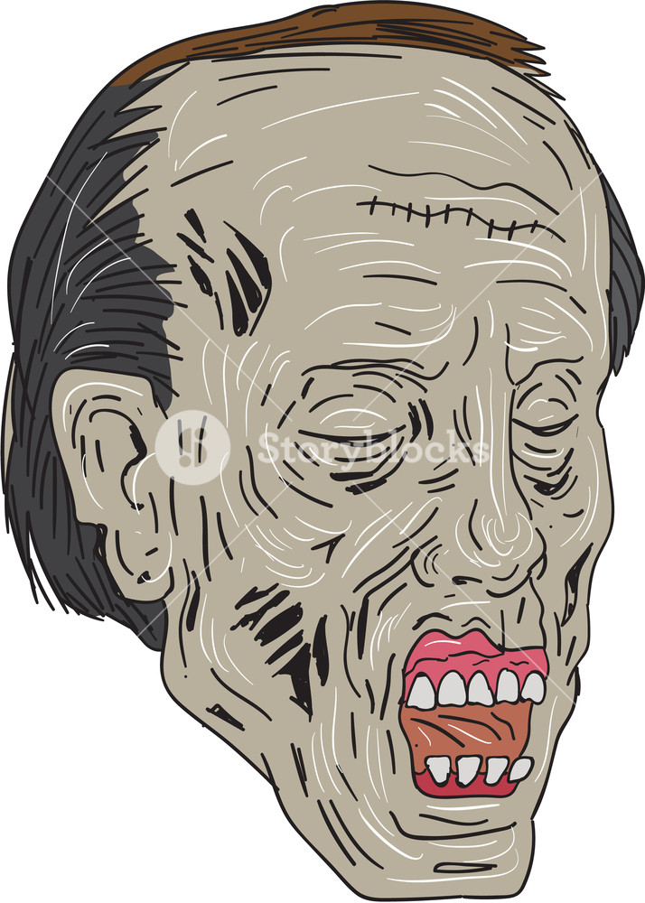 714x1000 Drawing Sketch Style Illustration Of A Zombie Skull Head With Eyes - Zombie Face Sketch