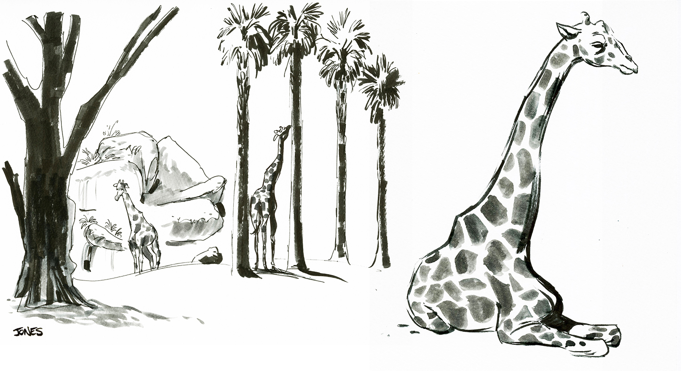 1404x766 Matt Jones Sfo Zoo - Zoo Sketch