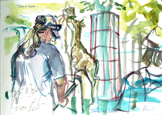 640x453 Open Sketch Day In Tama Zoo Urban Sketchers Japan - Zoo Sketch