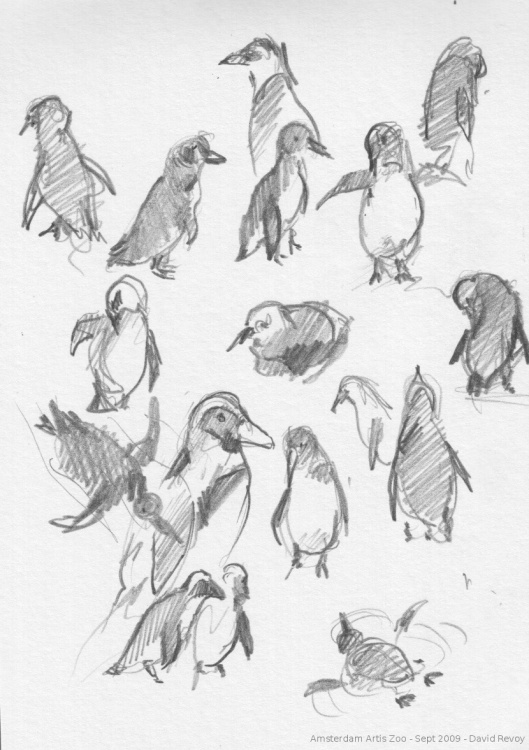 529x750 Sintel, The Durian Open Movie Project Blog Archive Zen - Zoo Sketch