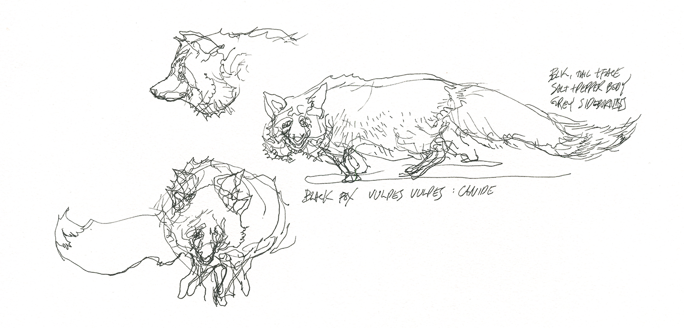 1400x671 Zoo Illogical Sketching Citizen Sketcher - Zoo Sketch