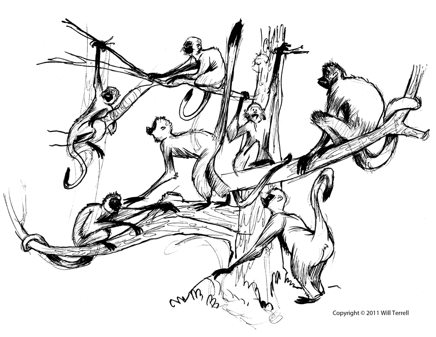 900x695 Zoo Sketches The Art Of Will Terrell - Zoo Sketch