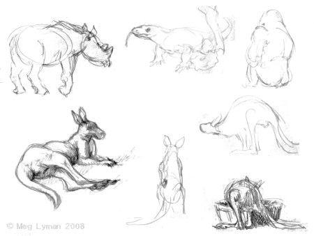 450x339 Zoo Sketches Animal References Zoos And Sketches - Zoo Sketch