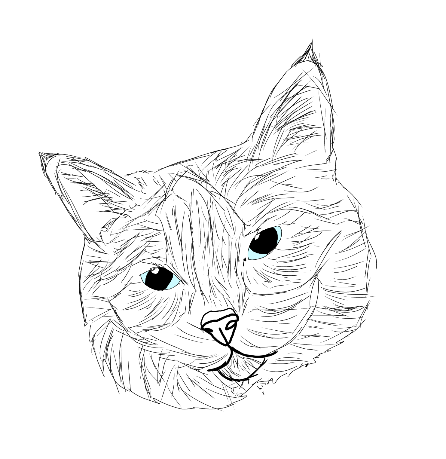 I was bored so I decided to draw over a picture of my grumpy cat, Renji