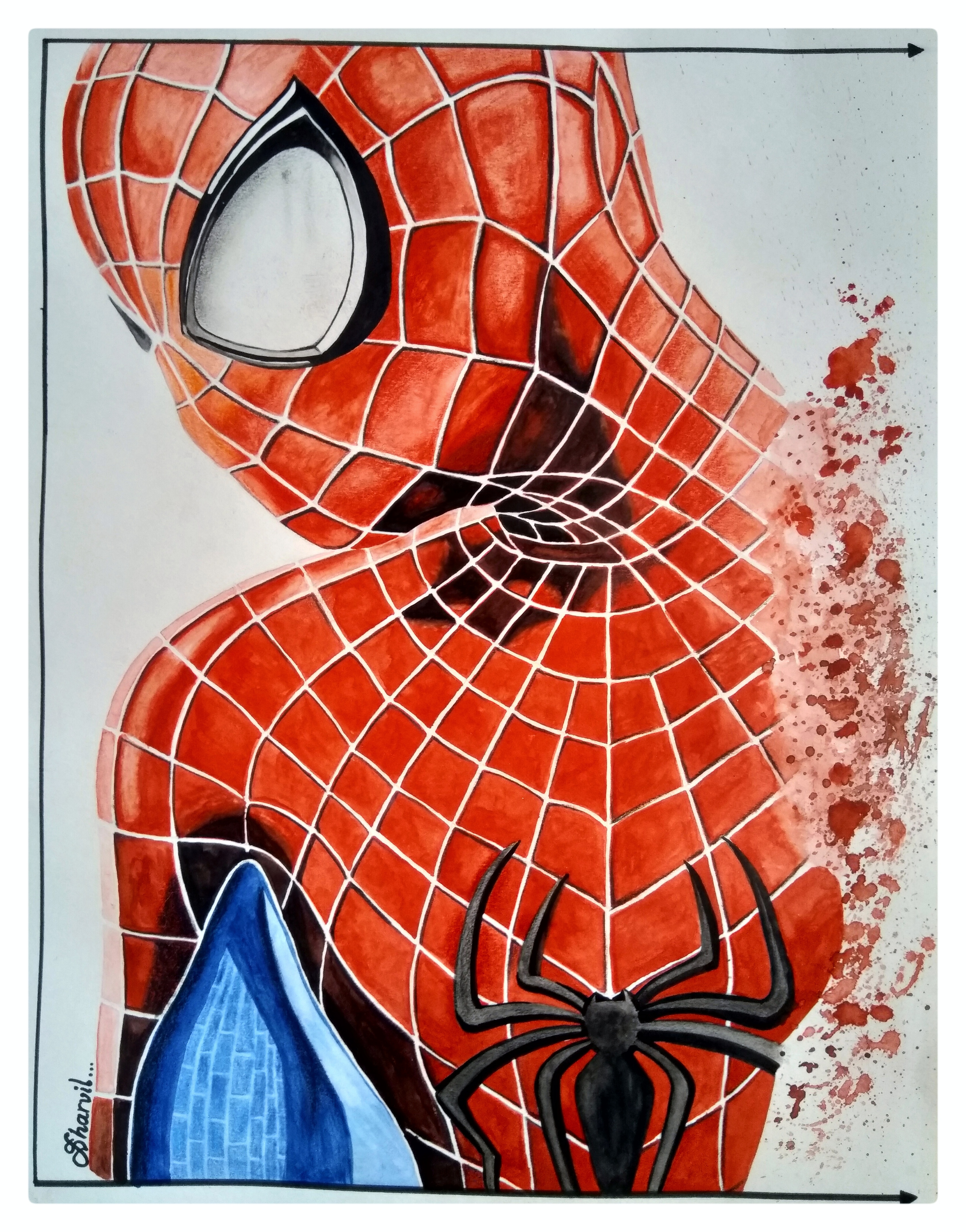 Coloured portrait sketch of Spiderman
